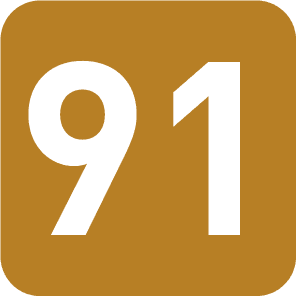 Picto 91.png